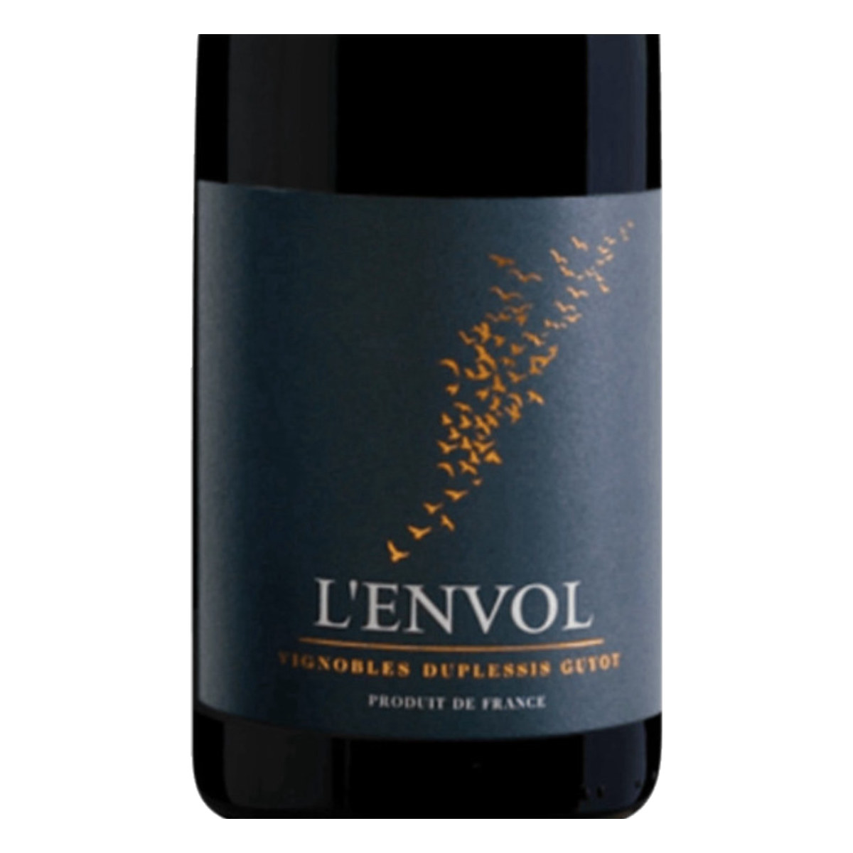 Magnum Côtes-du-Rhône Villages «L'Envol» Rouge 2020